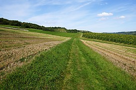 Wanderung auf dem Plateau