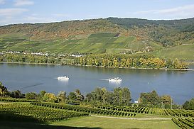 Rhein bei Nieder-Heimbach