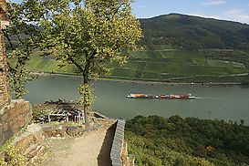 Rheinblick von Burg Sooneck