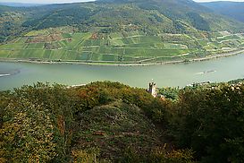Rheintal vom 7-Burgen-Blick