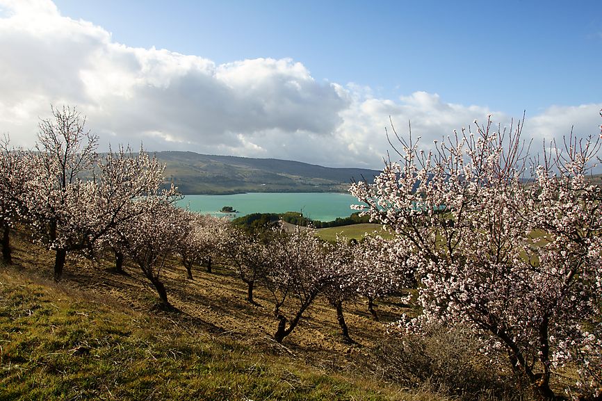Embalse de los Bermejales