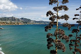 Meer und Agavenbl?ten am Balcon de Europa