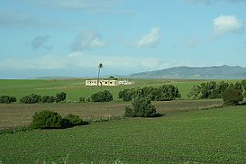 Alte Finca auf Ebene