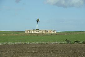 Alte Finca auf Ebene