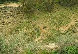 Arcos Blick vom Felsen