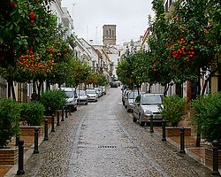 Strasse mit Orangenb?umen in Arcos