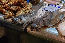 Merluza auf dem Markt in Jerez